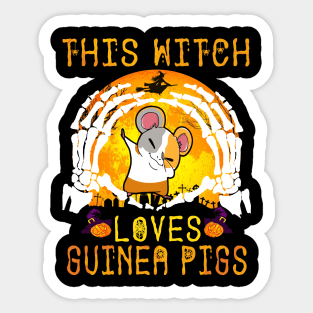 This Witch Loves Guinea Pigs Halloween (101) Sticker